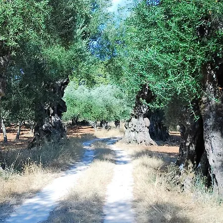 Διαμέρισμα Villasabella *